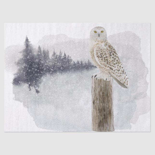 Snow Owl Watercolor Art Tissue Paper (Front)