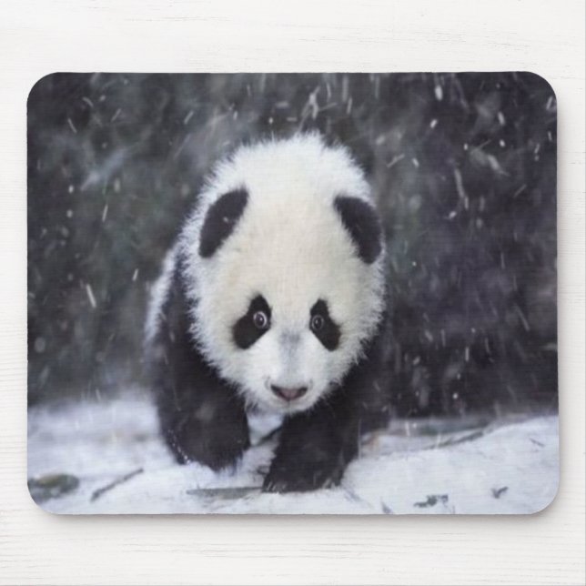Snow Panda Baby Mousepad (Front)