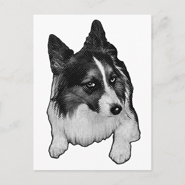 Snow-Path Postcard (Front)