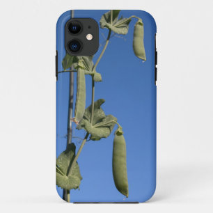 Snow Peas on Blue Sky iPhone 5 Case