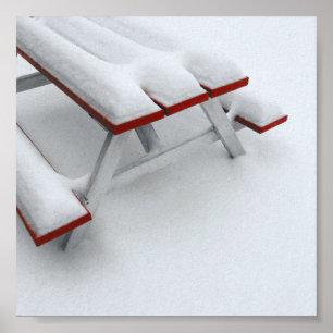 snow picnic poster