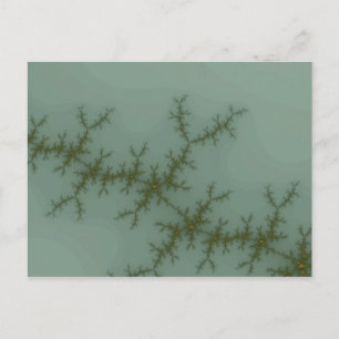 Snow Pine - Fractal Art Postcard