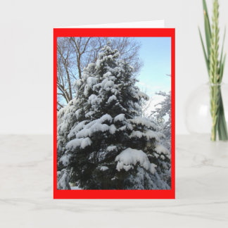 Snow Pine Holiday Card