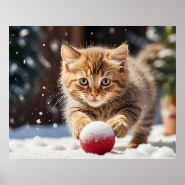*~* Snow Playing Ball Kitty 5:4  Kitten Cat AP68 Poster (Front)