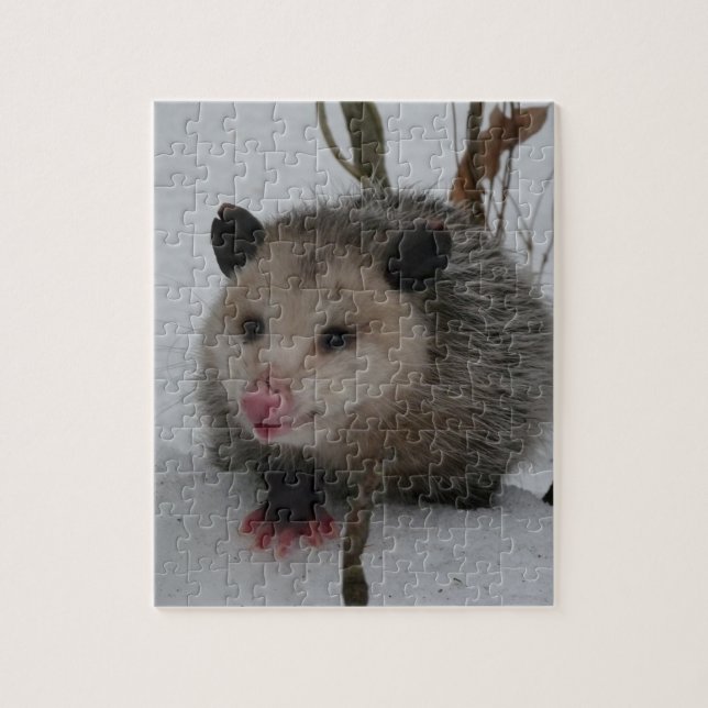 Snow Possum Jigsaw Puzzle (Vertical)