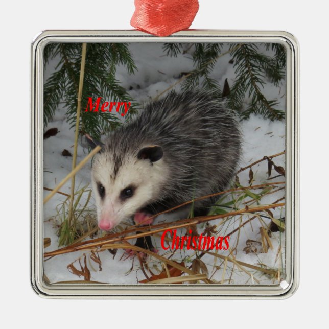 Snow Possum Metal Tree Decoration (Front)