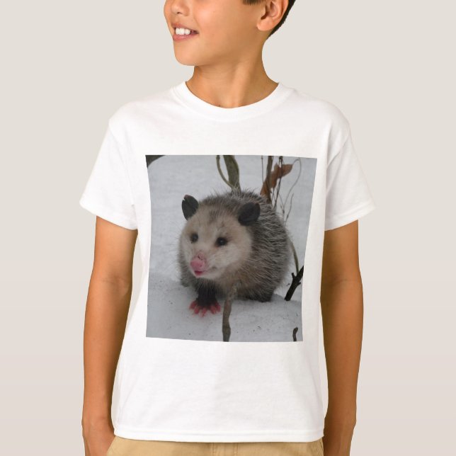 Snow Possum T-Shirt (Front)