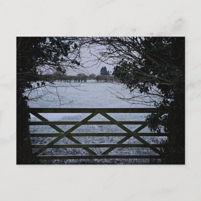 Snow  postcard (Front)