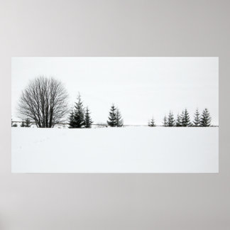 Snow Poster