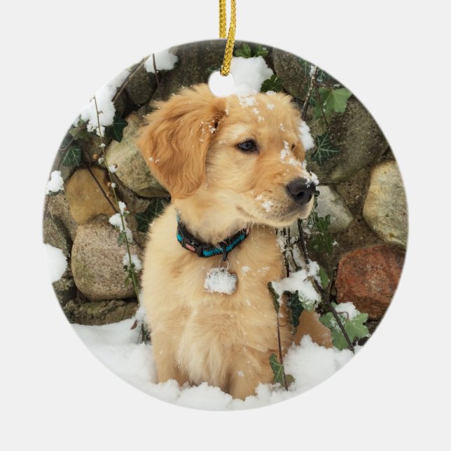 Snow Puppy Ceramic Tree Decoration (Front)