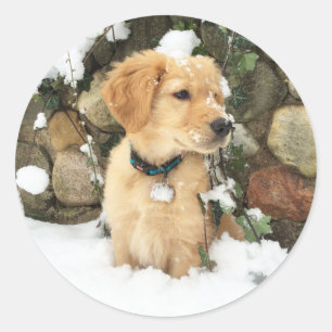 Snow Puppy Classic Round Sticker