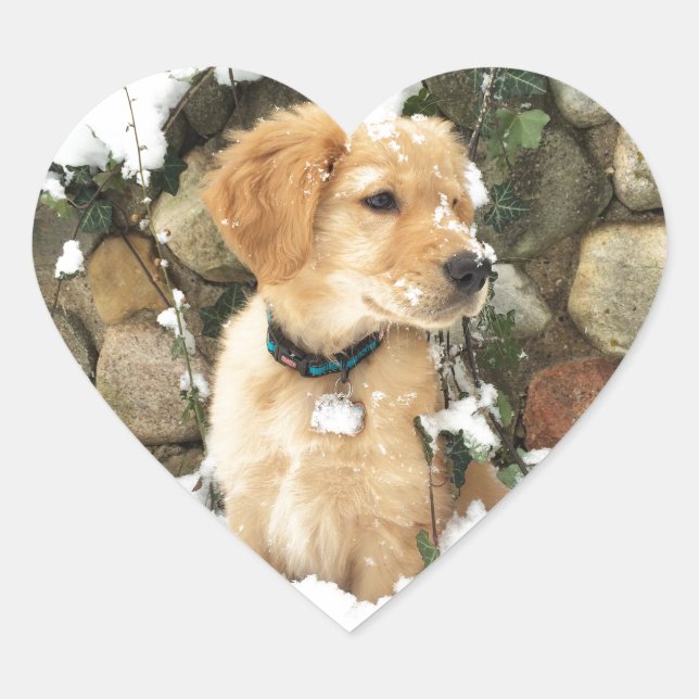Snow Puppy Heart Sticker (Front)
