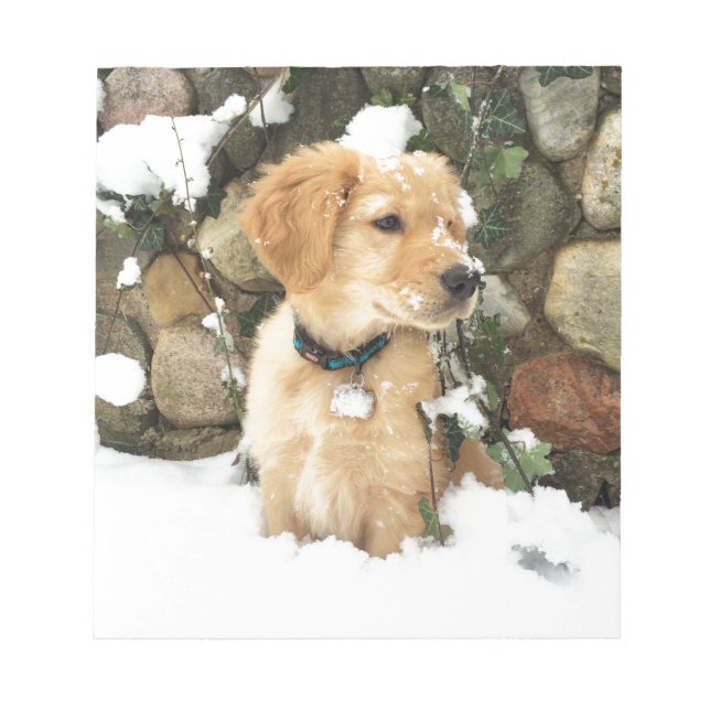 Snow Puppy Notepad (Front)