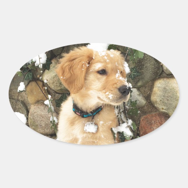Snow Puppy Oval Sticker (Front)