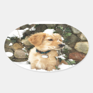 Snow Puppy Oval Sticker