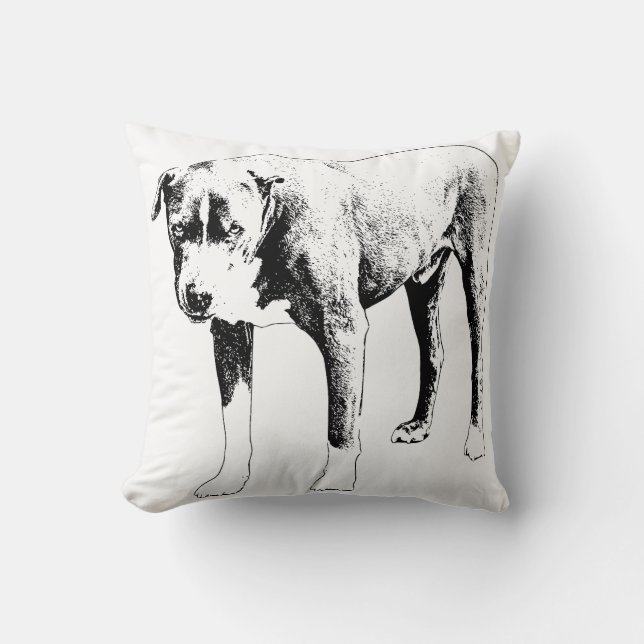 Snow-Quiet Companion Accent Cushion (Front)