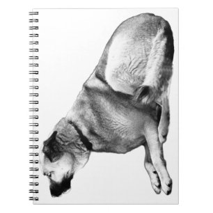 Snow-Quiet Listener Notebook