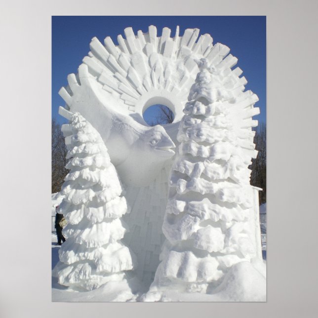 Snow Raven Poster (Front)