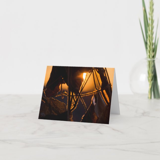 Snow Rise Note Card (Front)