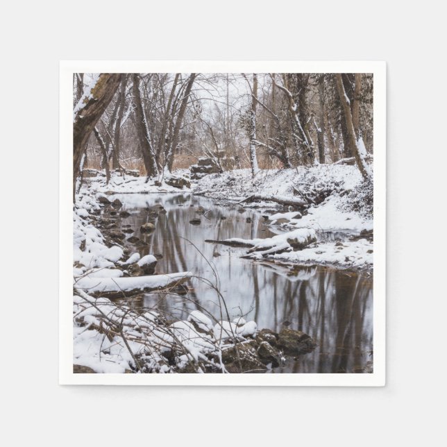Snow Riverside Napkin (Front)