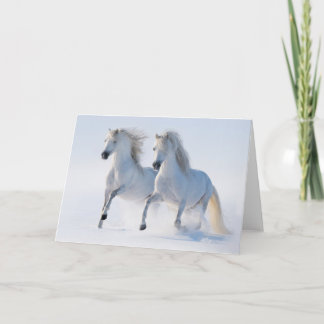 Snow Runners Holiday Card