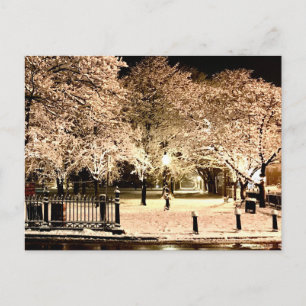 Snow Salem Common Massachusetts Photo Postcard