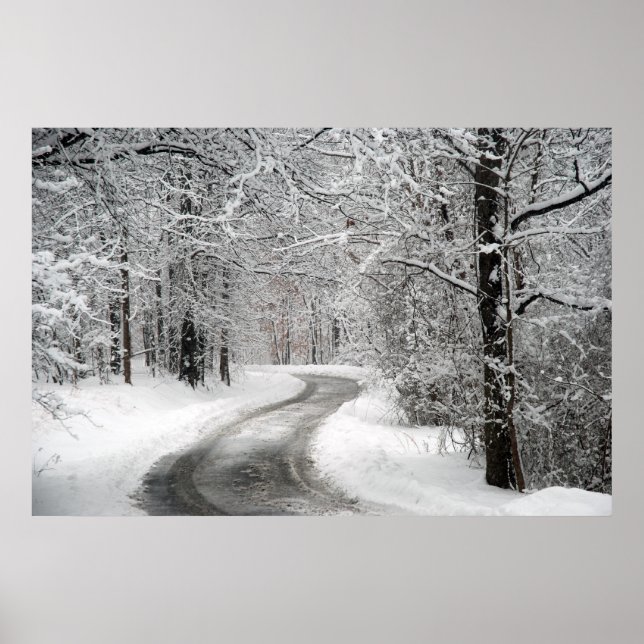 Snow Scene Art Print Poster (Front)