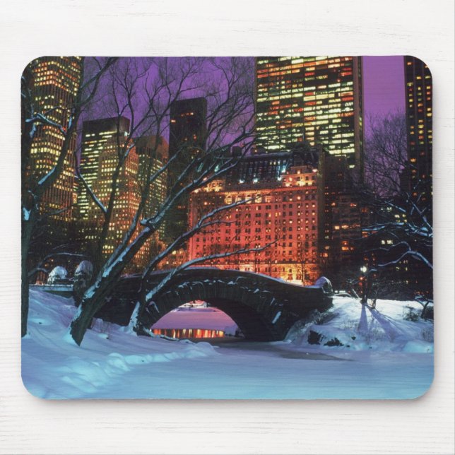 Snow Scene In Central Park Mouse Pad (Front)