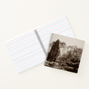 snow scene park and trees landscape in winter notebook