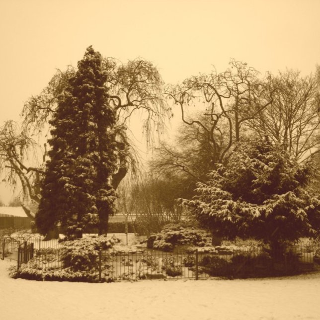 snow scene park landscape original sepia photo paper plate (Creator Uploaded)