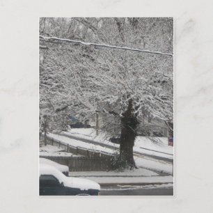 Snow Scene Postcard