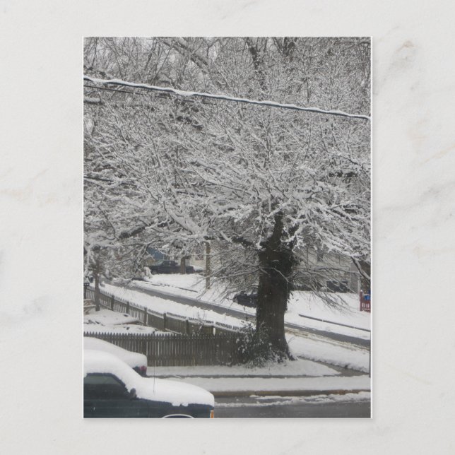 Snow Scene Postcard (Front)