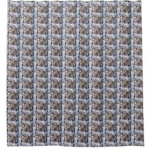 Snow Scene Shower Curtain