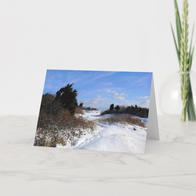 Snow Scene Winter Blank Greeting Card (Front)