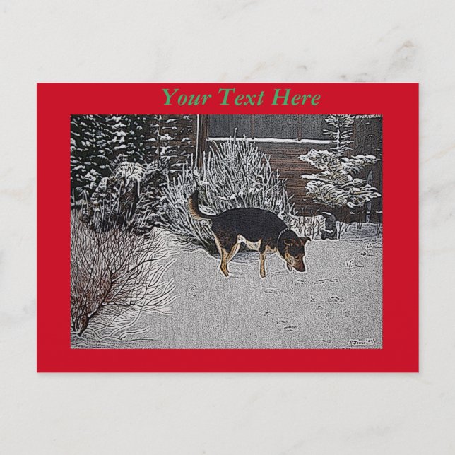 snow scene with cute black tan dog at christmas postcard (Front)