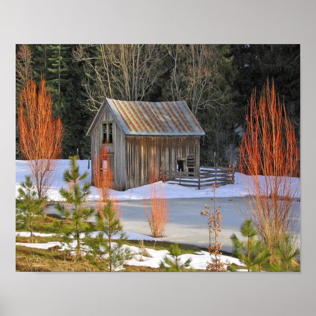 Snow Shed Poster (Front)