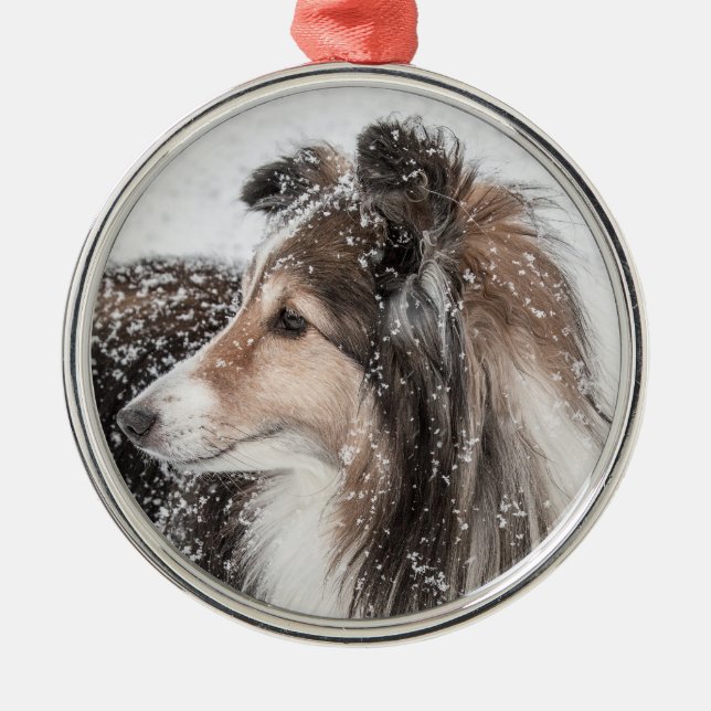 Snow Sheltie Christmas Ornament (Front)