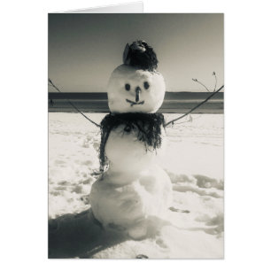 snow shore snowman