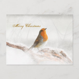 Snow Shower Robin Redbreast Holiday Postcard