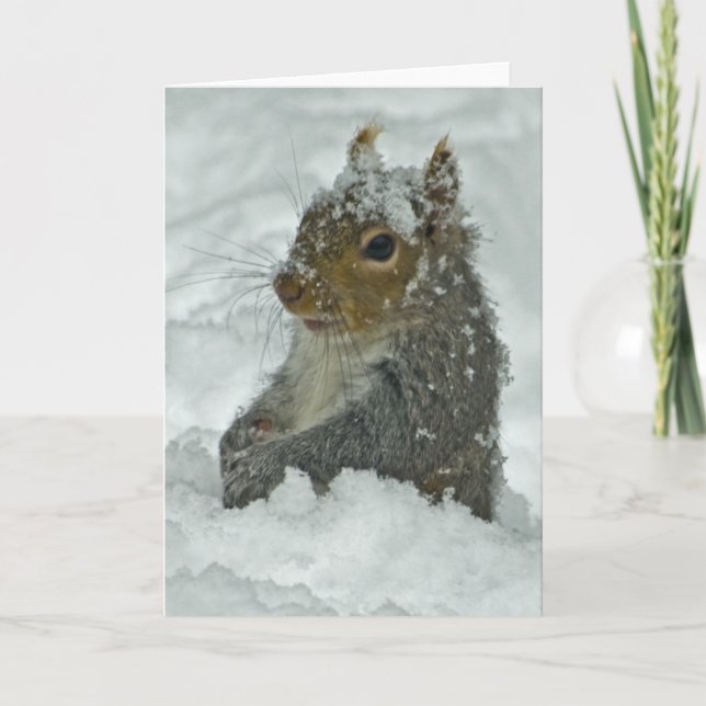 Snow Squirrel Card (Front)