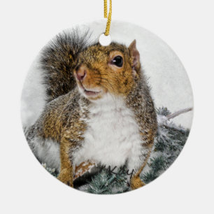 Snow Squirrel Ceramic Tree Decoration
