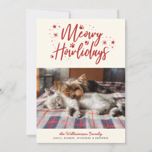 Snow Stars Meowy Howlidays Pet Photo Christmas Holiday Card