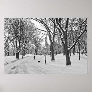 Snow Stroll in Central Park Poster