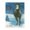 Snow Tag Wild Horse Post Card