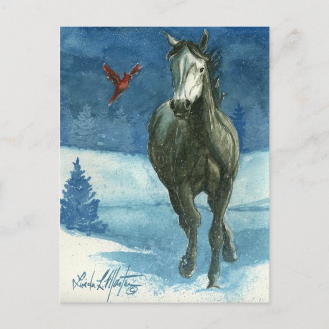 Snow Tag Wild Horse Post Card (Front)