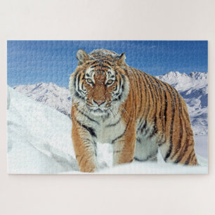 Snow Tiger Mountains Animal Nature Photo Jigsaw Puzzle