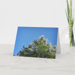Snow-tipped Pine Tree on Blue Sky Card