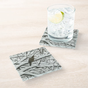 Snow Tree Branches Bird (photography by me) Glass Coaster