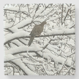 Snow Tree Branches Bird (photography by me) Stone Coaster