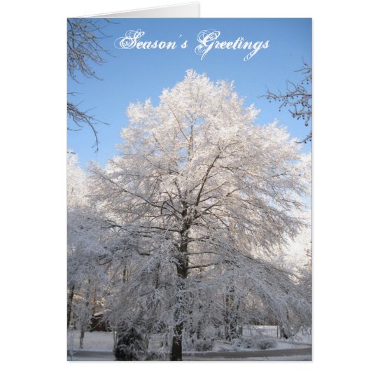 Snow Tree Christmas Card